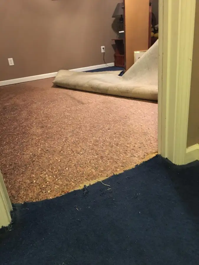 Carpet pad removal revealing water damage during Drying & Dehumidification in Bolingbrook