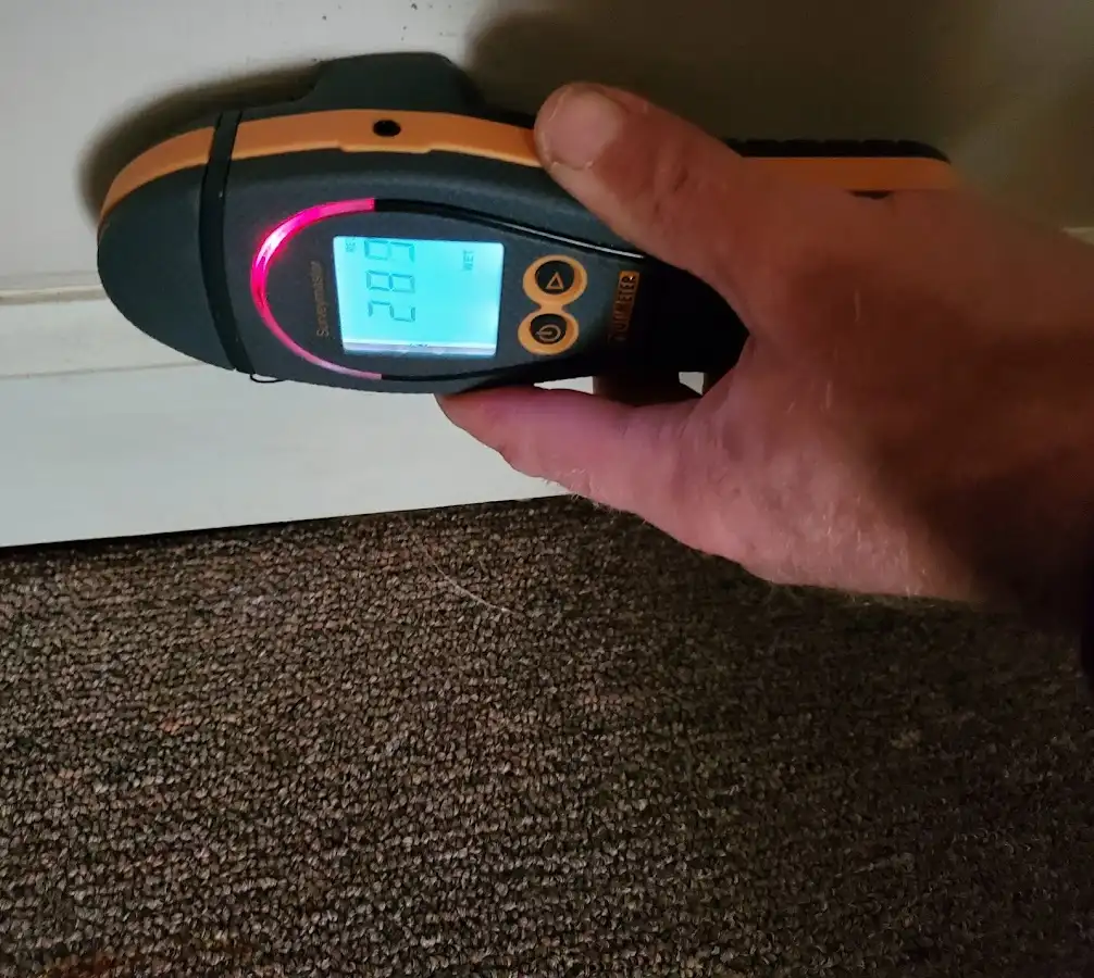 Moisture detection at baseboard during Mold Inspection & Testing in Bolingbrook